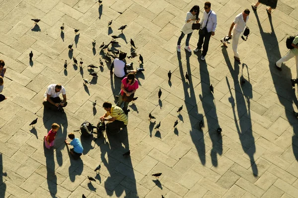 Touristes Jouant Avec Des Pigeons Sur Piazza San Marco Tôt — Photo