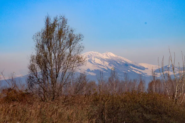 Parco Del Mincio Sumpf Mit Schilf — Stockfoto