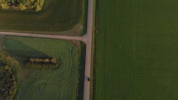 夏の田舎の空中風景 — ストック動画