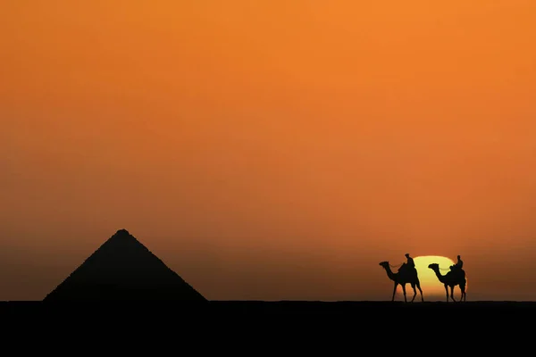 Silhouette Camels Desert — Stock Photo, Image