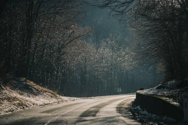 Road Forest — Stock Photo, Image