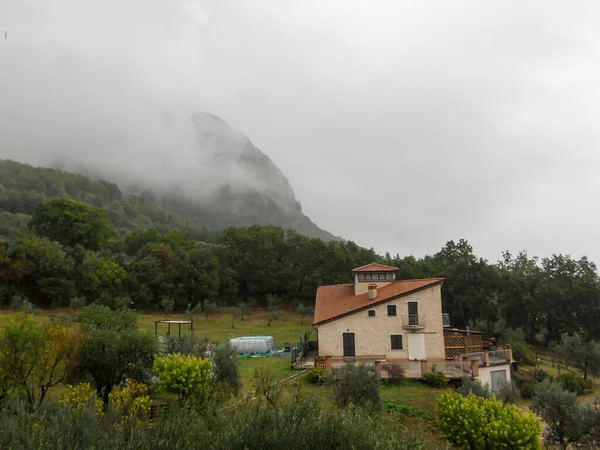 Paisaje Durante Día Lluvioso Con Niebla —  Fotos de Stock