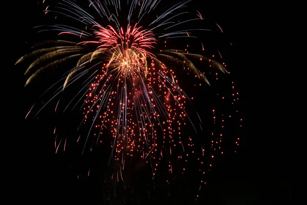 Fuegos Artificiales Colores Cielo Nocturno — Foto de Stock