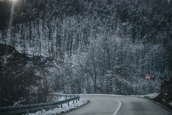 Route Dans Forêt — Photo