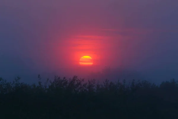 Schöner Sonnenuntergang Über Dem See — Stockfoto