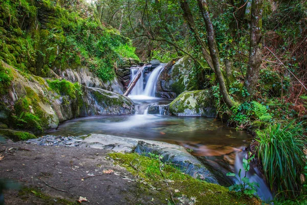 Bela Cachoeira Floresta — Fotografia de Stock