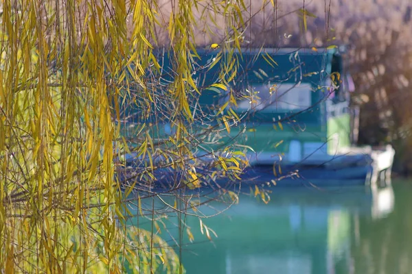 Parco Del Mincio Natural Marsh Landscape Reeds — Stockfoto