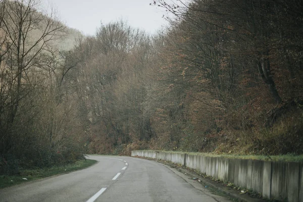 Route Dans Forêt — Photo