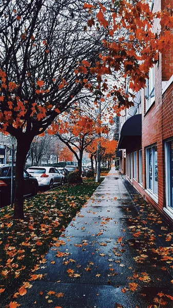 Herbst Der Stadt — Stockfoto