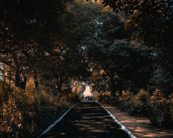 Hermosa Vista Del Parque — Foto de Stock