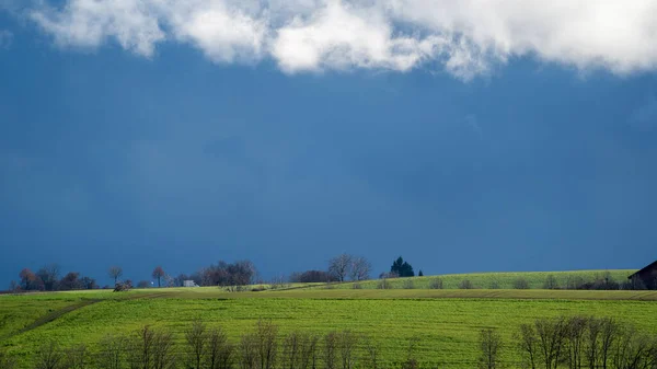 Красивий Краєвид Полем Зеленої Трави Блакитним Небом — стокове фото