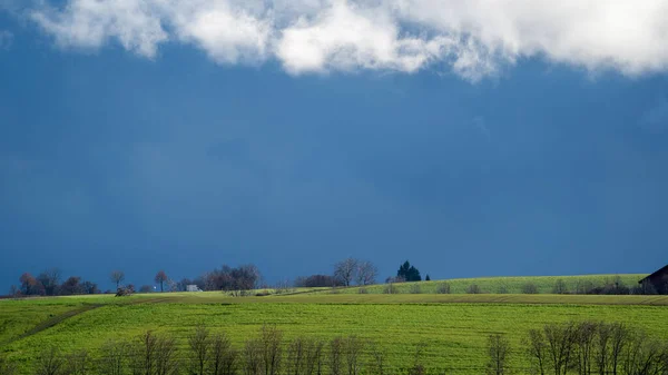 Beau Paysage Avec Champ Herbe Verte Ciel Bleu — Photo