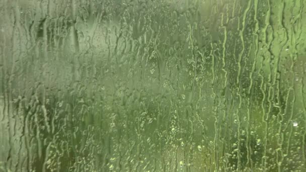 带水滴的抽象背景 — 图库视频影像