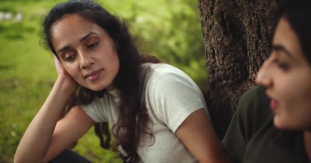 森の中で話している女性の友人のグループは — ストック動画