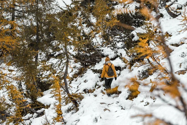雪の山の女性ハイカー — ストック写真