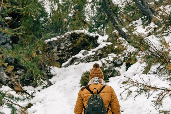 Mujer Excursionista Las Montañas Nevadas — Foto de Stock