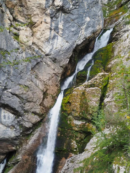 Wasserfall Wald — Stockfoto