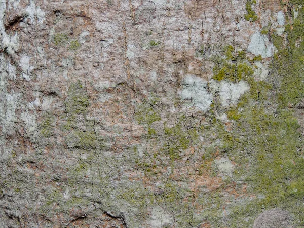 グランジの質感の背景 抽象的なパターン 壁の断片 レンガ コンクリート セメント — ストック写真