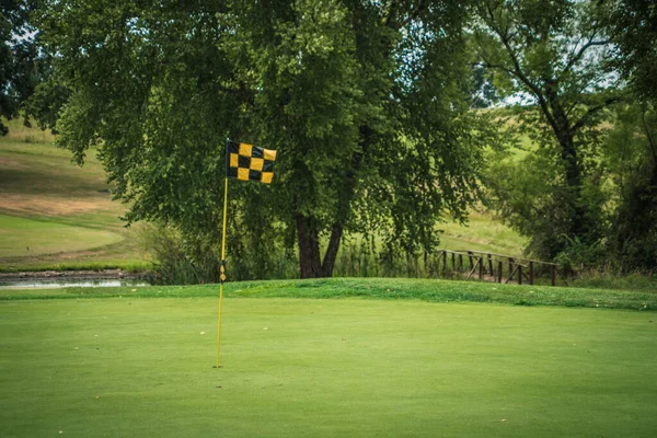 Golfbana Med Grönt Gräs Och Träd — Stockfoto