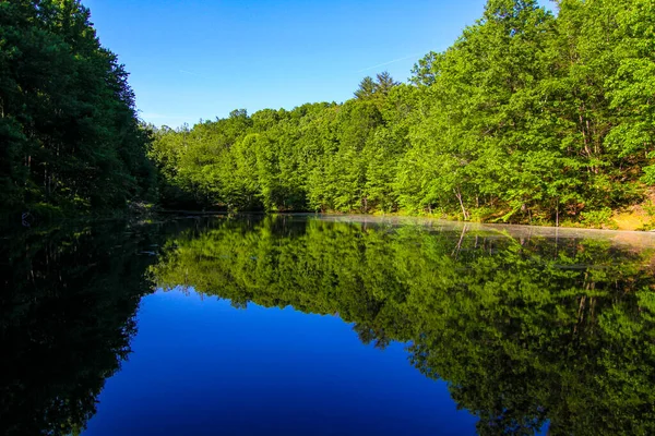 Krásná Letní Krajina Řekou Stromy — Stock fotografie