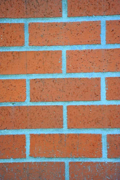 Mur Brique Texture Fond — Photo