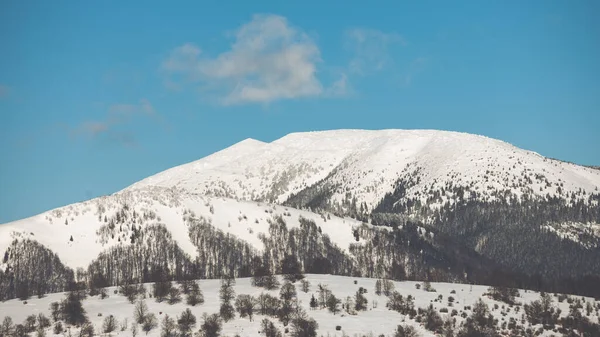 Prachtig Winterlandschap Met Besneeuwde Bomen — Stockfoto