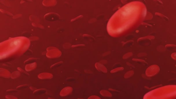 Blood Cells Red Pink Illustration — Vídeo de Stock