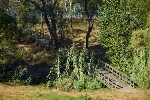 Una Hermosa Vista Puente Madera Bosque —  Fotos de Stock