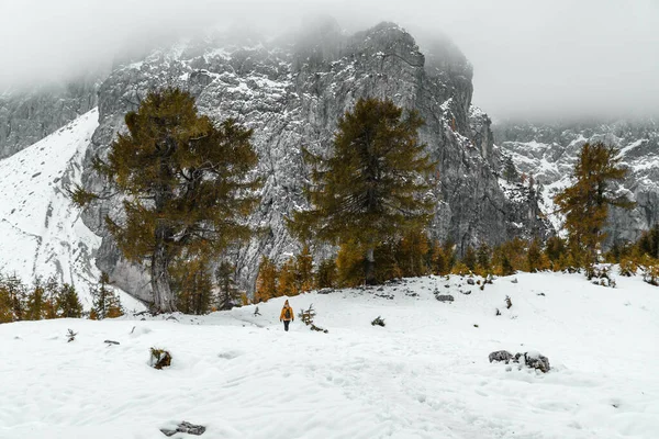 Menina Caminhante Andando Montanhas Cobertas Neve — Fotografia de Stock