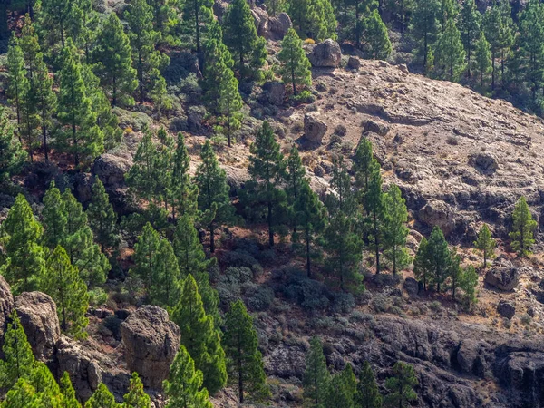 Dağları Kayaları Olan Dağ Manzarası — Stok fotoğraf