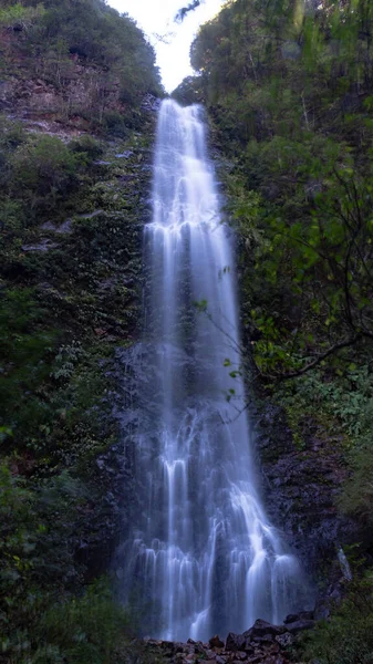 Wasserfall Wald — Stockfoto