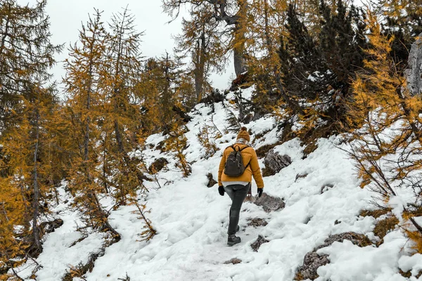 Mujer Excursionista Las Montañas Nevadas — Foto de Stock