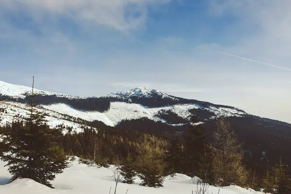 Bela Vista Das Montanhas Inverno — Fotografia de Stock
