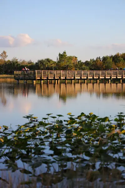 Parktaki Gölün Güzel Manzarası — Stok fotoğraf
