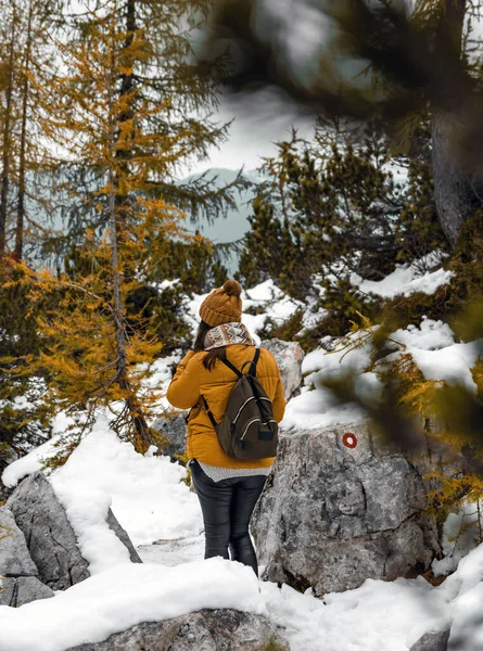 Chica Excursionista Caminando Las Montañas Cubiertas Nieve — Foto de Stock