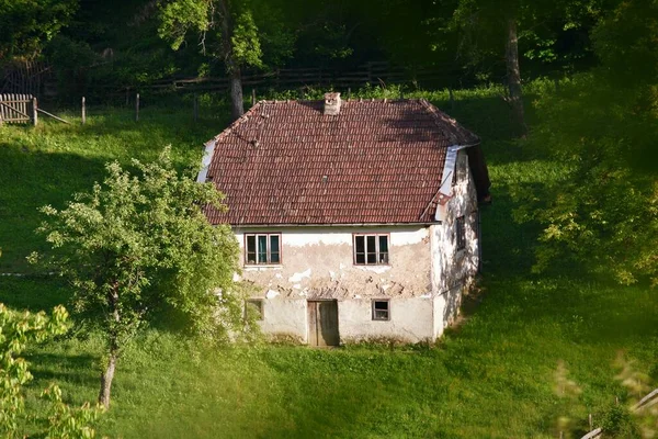 Casa Vieja Con Una Pequeña Hierba Verde — Foto de Stock