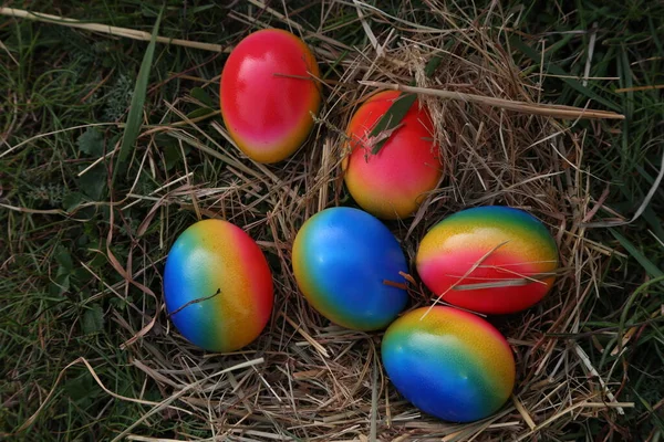 Oeufs Pâques Dans Nid — Photo