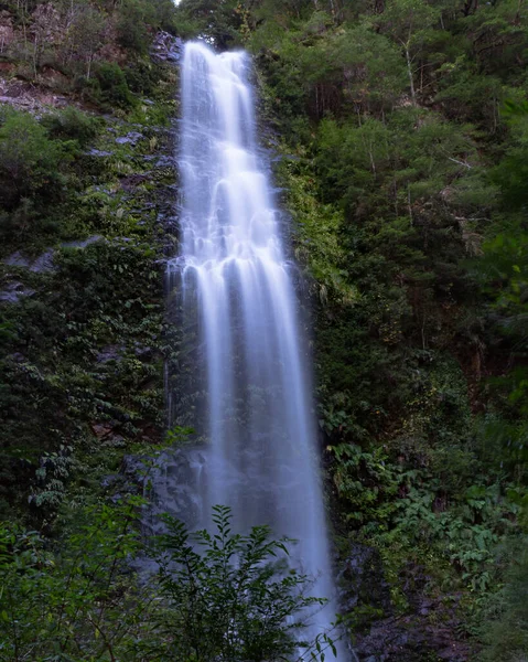 Vattenfall Skogen — Stockfoto