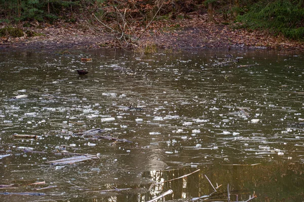 Belle Vue Sur Rivière Dans Forêt — Photo