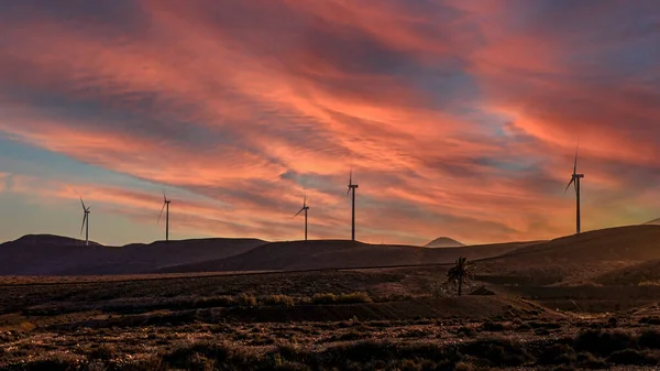 沙漠中的风力涡轮机 — 图库照片