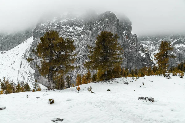 Menina Caminhante Andando Montanhas Cobertas Neve — Fotografia de Stock