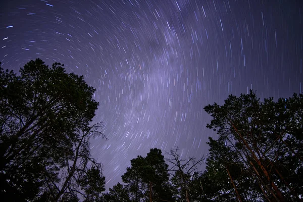 Nachtelijke Hemel Met Sterren Bomen — Stockfoto