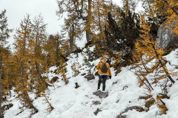 Mujer Excursionista Las Montañas Nevadas — Foto de Stock