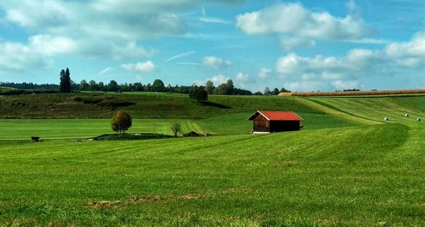 Bellissimo Paesaggio Con Campo Erba Verde Cielo Nuvoloso — Foto Stock