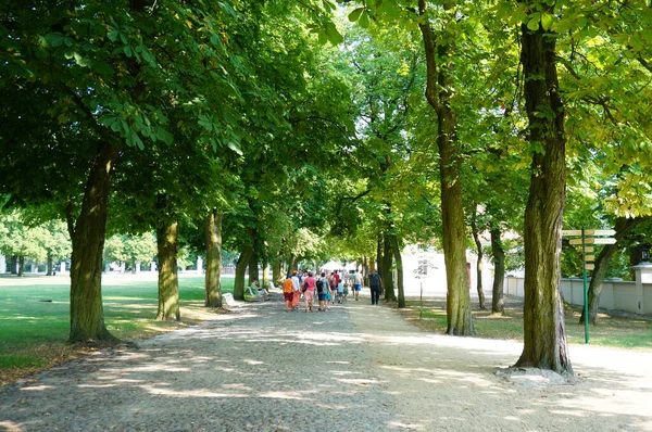 Bella Vista Sulla Strada Del Parco Con Persone — Foto Stock