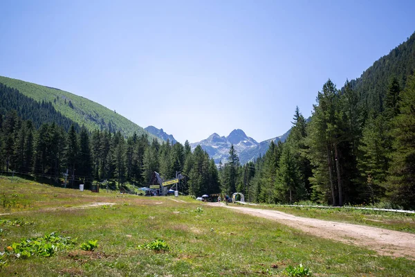 Vackert Landskap Med Fjällskog — Stockfoto