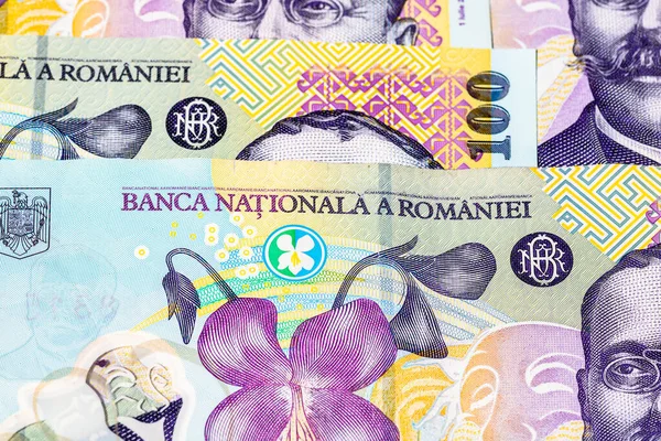 Ley Banknotlarının Detaylarına Özen Göster Romanya Lei Banknotlarının Makro Detaylarını — Stok fotoğraf