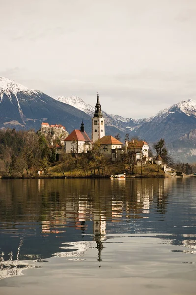 Vertical Shot Church Assumption Mary Bled Island Slovenia — 스톡 사진