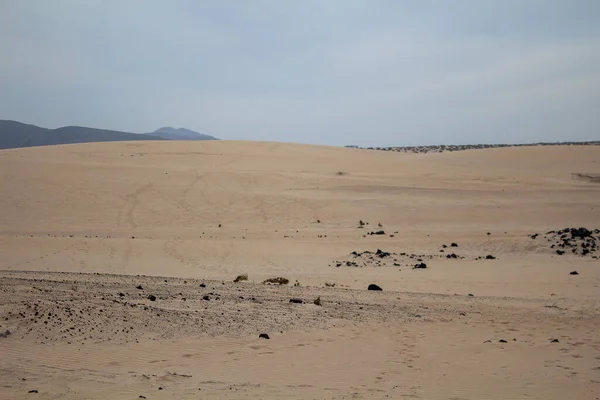 Прекрасний Вид Пустелю — стокове фото