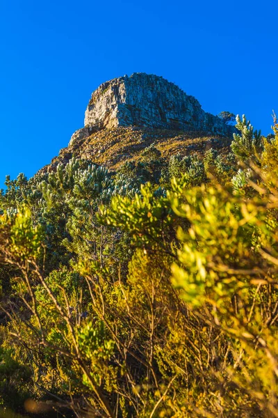 Schöne Aussicht Auf Die Berge — Stockfoto